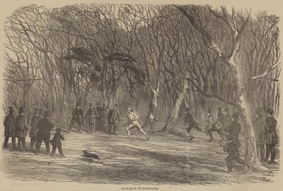 Foot-Race at Bayswater by Harrison William Weir